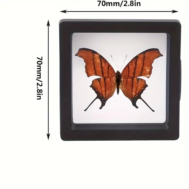 20 piezas Clearview 3D vitrina - Body Jewelry Organizer reseña y precio